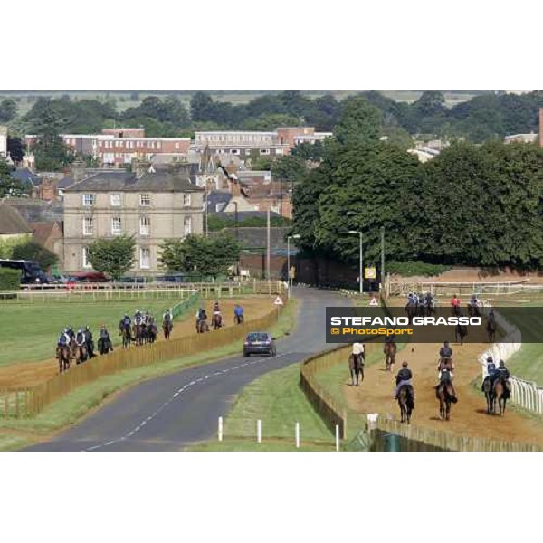 morning works at Warren Hill Newmarket, 14th july 2007 ph. Stefano Grasso