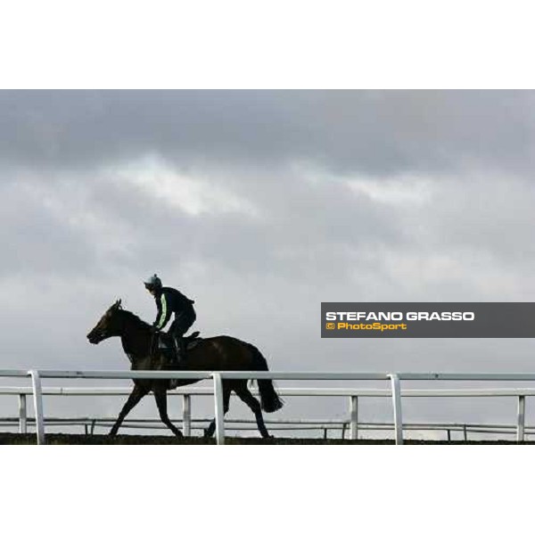 morning works at Warren Hill Newmarket, 14th july 2007 ph. Stefano Grasso