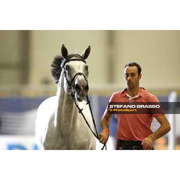 LGCT of Berlin - vet check - MJT Nevados S - Berlin, 27th july 2017 - ph.Stefano Grasso/LGCT