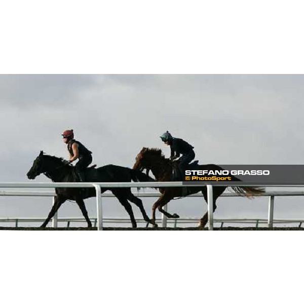 morning works at Warren Hill Newmarket, 14th july 2007 ph. Stefano Grasso