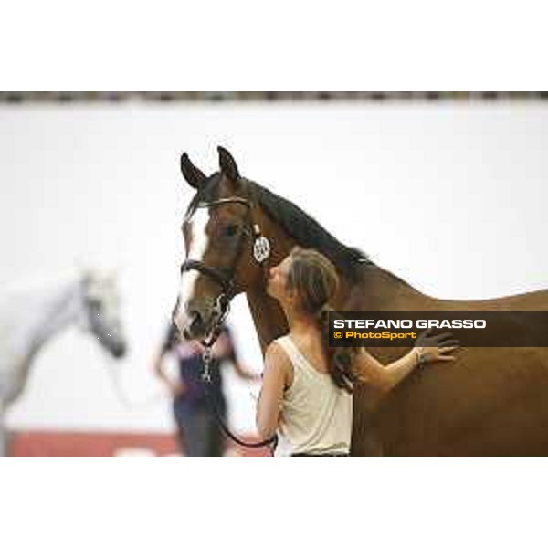 LGCT of Berlin - vet check - Berlin, 27th july 2017 - ph.Stefano Grasso/LGCTLGCT of Berlin - vet check - Camalita - Berlin, 27th july 2017 - ph.Stefano Grasso/LGCT