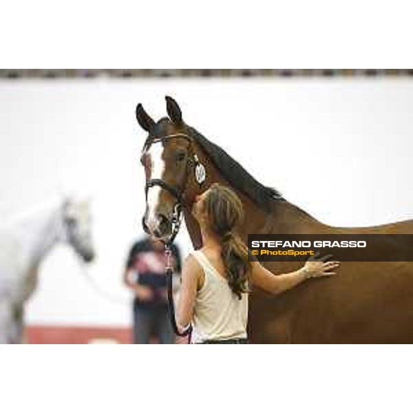 LGCT of Berlin - vet check - Berlin, 27th july 2017 - ph.Stefano Grasso/LGCTLGCT of Berlin - vet check - Camalita - Berlin, 27th july 2017 - ph.Stefano Grasso/LGCT