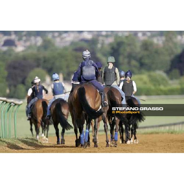 morning works at Warren Hill Newmarket, 14th july 2007 ph. Stefano Grasso