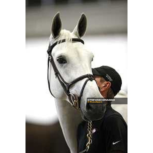 LGCT of Berlin - vet check - Berlin, 27th july 2017 - ph.Stefano Grasso/LGCTLGCT of Berlin - vet check - Manodie II H - Berlin, 27th july 2017 - ph.Stefano Grasso/LGCT