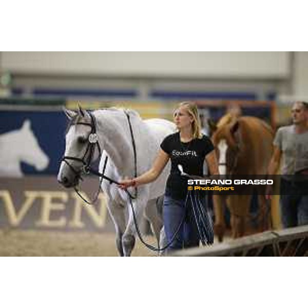 LGCT of Berlin - vet check - Berlin, 27th july 2017 - ph.Stefano Grasso/LGCTLGCT of Berlin - vet check - Cynar V - Berlin, 27th july 2017 - ph.Stefano Grasso/LGCT