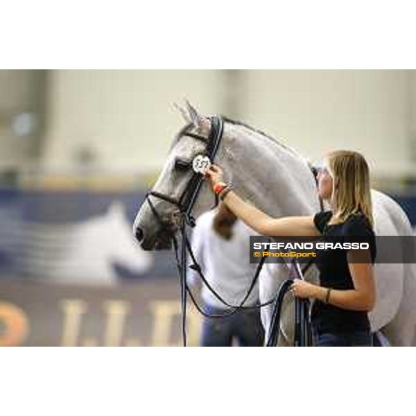 LGCT of Berlin - vet check - Berlin, 27th july 2017 - ph.Stefano Grasso/LGCTLGCT of Berlin - vet check - Cynar V - Berlin, 27th july 2017 - ph.Stefano Grasso/LGCT
