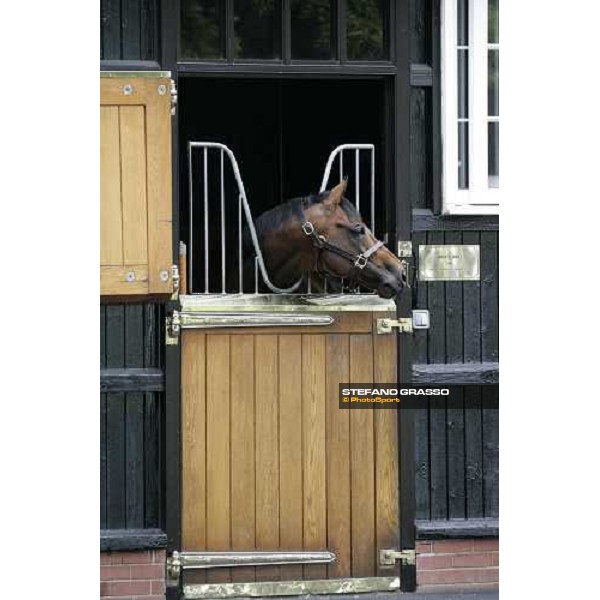 The Darley Stallion Parade - Doyen Newmarket, 13th july 2007 ph. Stefano Grasso