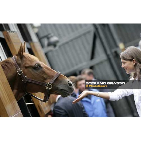 The Darley Stallion Parade - Halling Newmarket, 13th july 2007 ph. Stefano Grasso