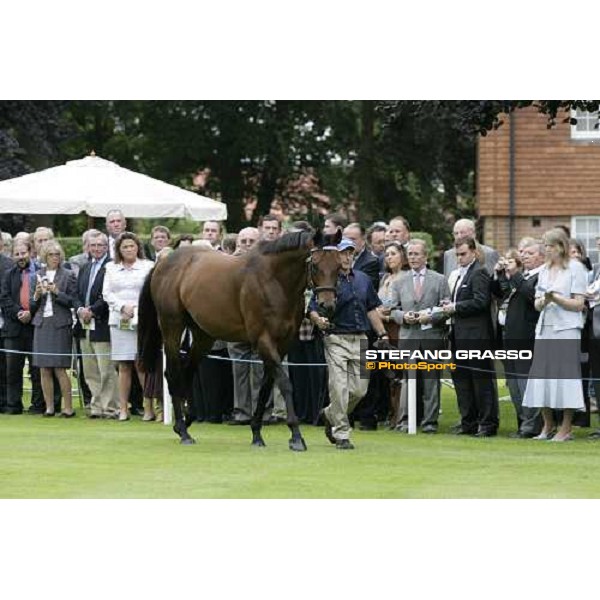 The Darley Stallion Parade - Dubai Destination Newmarket, 13th july 2007 ph. Stefano Grasso