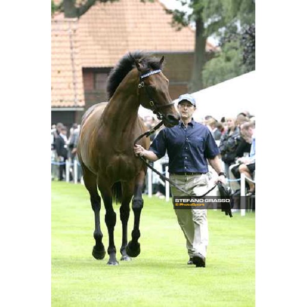 The Darley Stallion Parade - Dubai Destination Newmarket, 13th july 2007 ph. Stefano Grasso