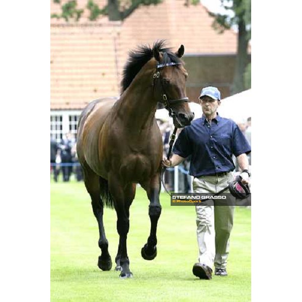 The Darley Stallion Parade - Dubai Destination Newmarket, 13th july 2007 ph. Stefano Grasso