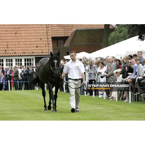 The Darley Stallion Parade - Xaar Newmarket, 13th july 2007 ph. Stefano Grasso