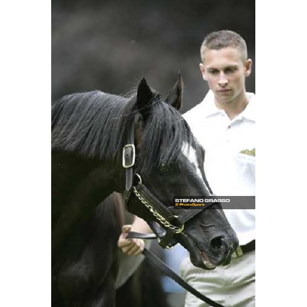 The Darley Stallion Parade - Xaar Newmarket, 13th july 2007 ph. Stefano Grasso