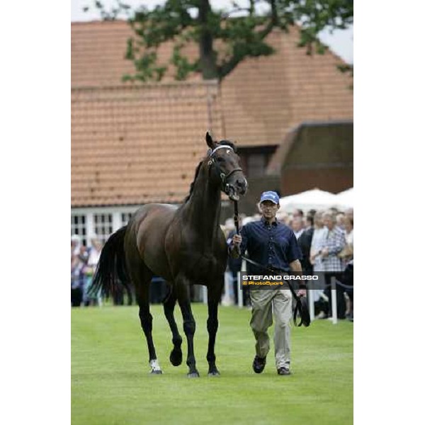 The Darley Stallion Parade - Librettist Newmarket, 13th july 2007 ph. Stefano Grasso