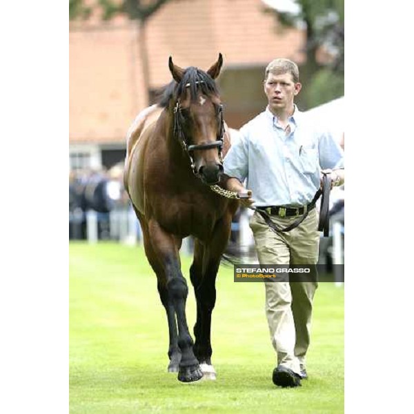 The Darley Stallion Parade - Exceed and Excel Newmarket, 13th july 2007 ph. Stefano Grasso