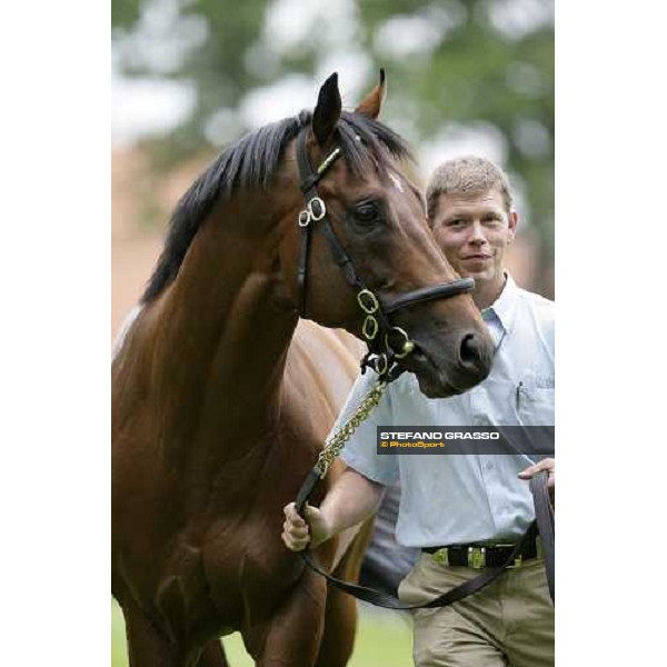 The Darley Stallion Parade - Exceed and Excel Newmarket, 13th july 2007 ph. Stefano Grasso