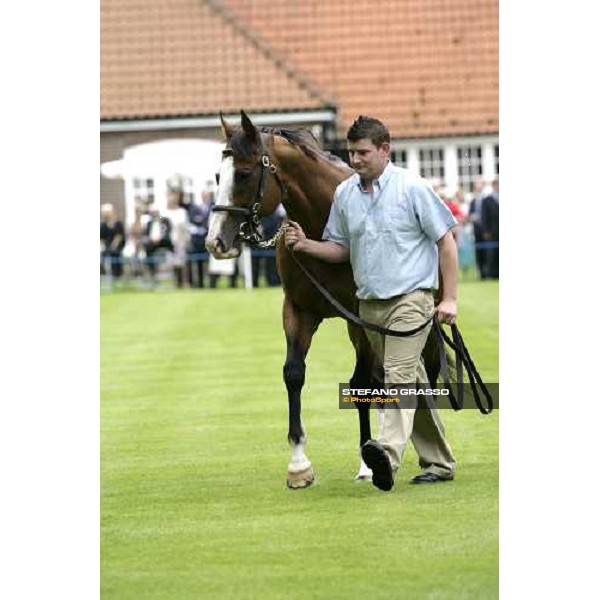 The Darley Stallion Parade - Noverre Newmarket, 13th july 2007 ph. Stefano Grasso