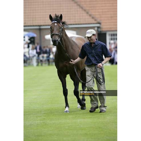 The Darley Stallion Parade - Bertolini Newmarket, 13th july 2007 ph. Stefano Grasso