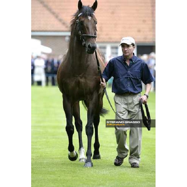 The Darley Stallion Parade - Bertolini Newmarket, 13th july 2007 ph. Stefano Grasso