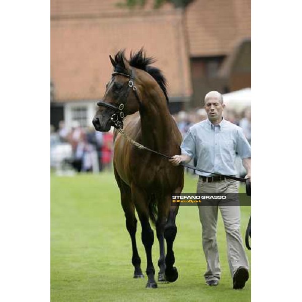 The Darley Stallion Parade - Byron Newmarket, 13th july 2007 ph. Stefano Grasso