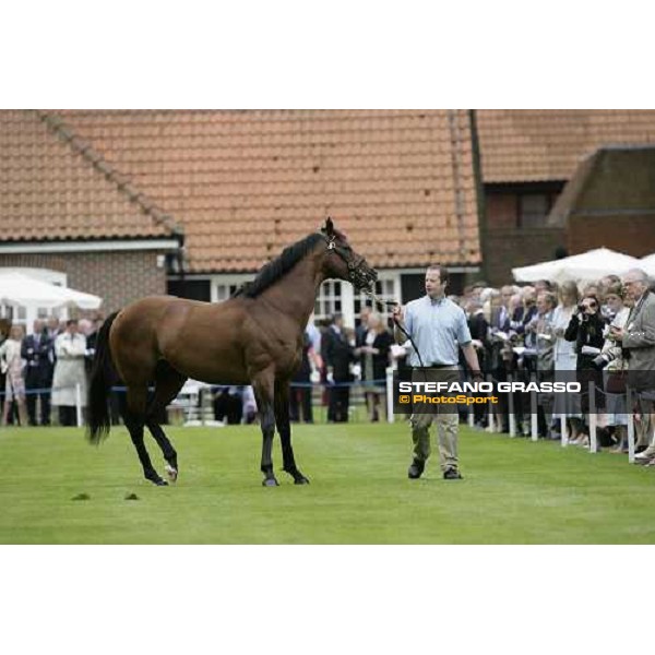 The Darley Stallion Parade - Refuse to Bend Newmarket, 13th july 2007 ph. Stefano Grasso