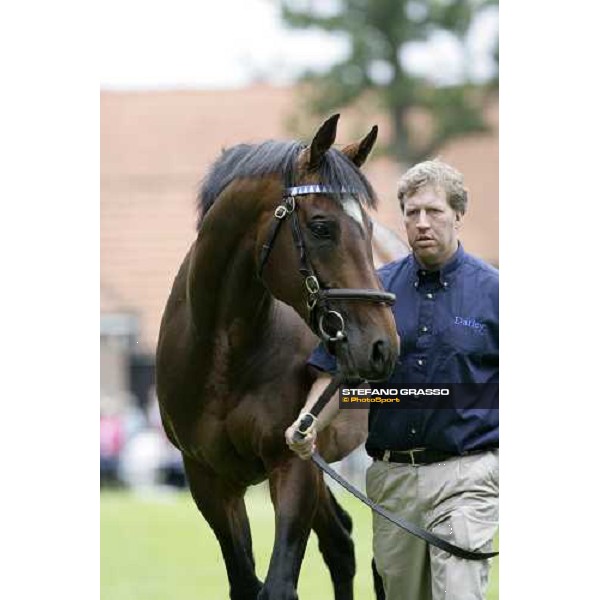 The Darley Stallion Parade - Doyen Newmarket, 13th july 2007 ph. Stefano Grasso