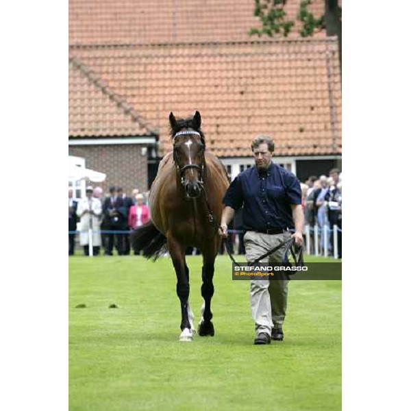 The Darley Stallion Parade - Tiger Hill Newmarket, 13th july 2007 ph. Stefano Grasso