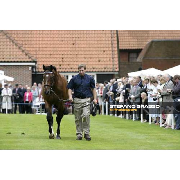 The Darley Stallion Parade - Tiger Hill Newmarket, 13th july 2007 ph. Stefano Grasso