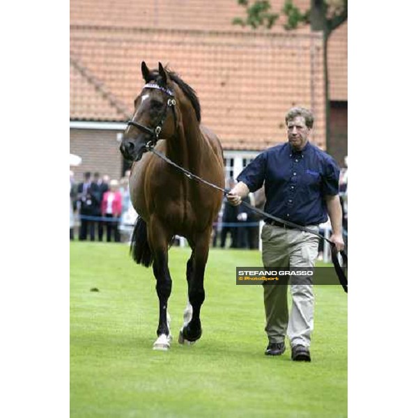 The Darley Stallion Parade - Tiger Hill Newmarket, 13th july 2007 ph. Stefano Grasso