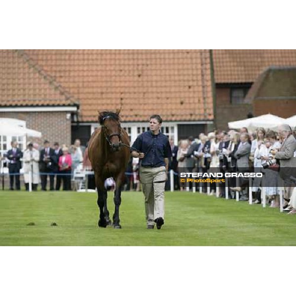 The Darley Stallion Parade - Tobougg Newmarket, 13th july 2007 ph. Stefano Grasso