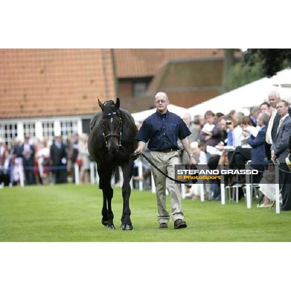 The Darley Stallion Parade - Singspiel Newmarket, 13th july 2007 ph. Stefano Grasso