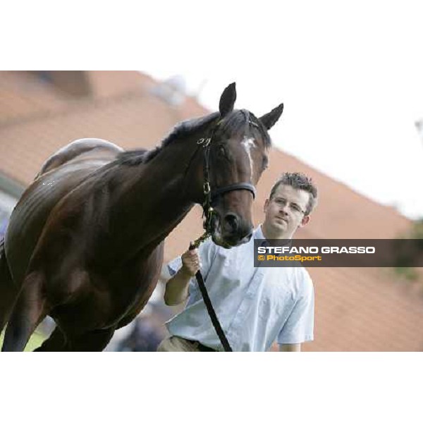 The Darley Stallion Parade - Shamardal Newmarket, 13th july 2007 ph. Stefano Grasso