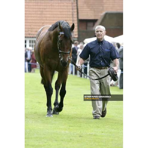 The Darley Stallion Parade - Dubawi Newmarket, 13th july 2007 ph. Stefano Grasso