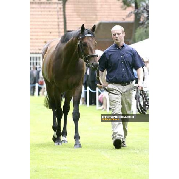 The Darley Stallion Parade - Shirocco Newmarket, 13th july 2007 ph. Stefano Grasso