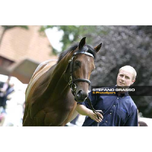 The Darley Stallion Parade - Shirocco Newmarket, 13th july 2007 ph. Stefano Grasso