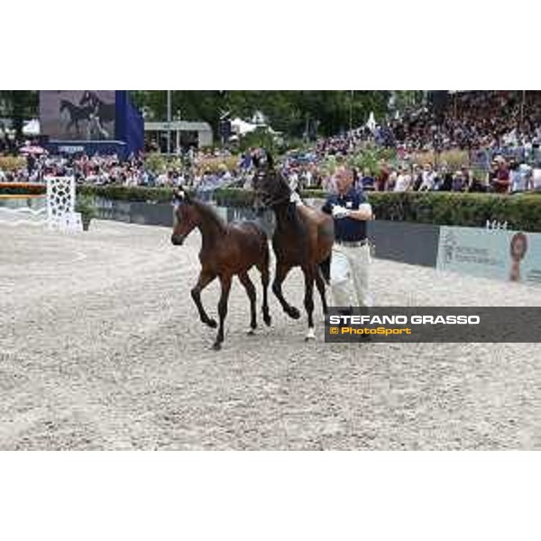 LGCT of Berlin - Foal presentation - Berlin, - 29 July 2017 - ph.Stefano Grasso/LGCT