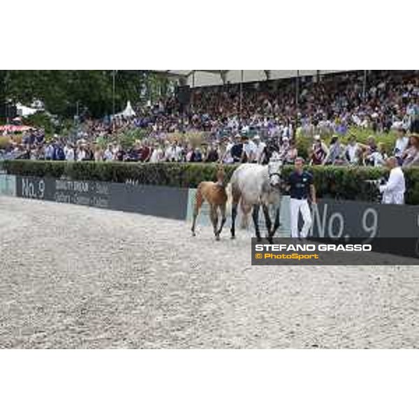 LGCT of Berlin - Foal presentation - Berlin, - 29 July 2017 - ph.Stefano Grasso/LGCT