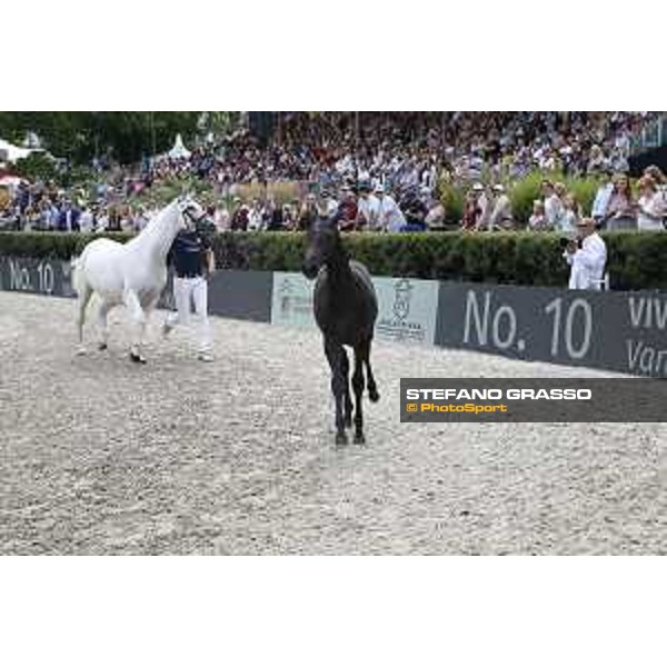 LGCT of Berlin - Foal presentation - Berlin, - 29 July 2017 - ph.Stefano Grasso/LGCT