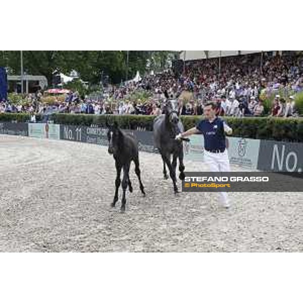 LGCT of Berlin - Foal presentation - Berlin, - 29 July 2017 - ph.Stefano Grasso/LGCT