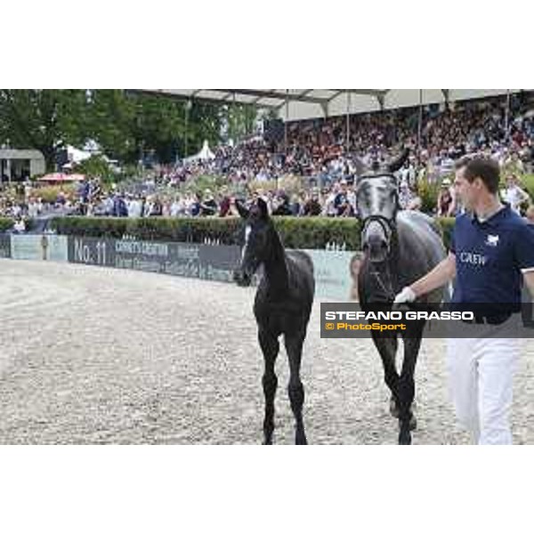 LGCT of Berlin - Foal presentation - Berlin, - 29 July 2017 - ph.Stefano Grasso/LGCT