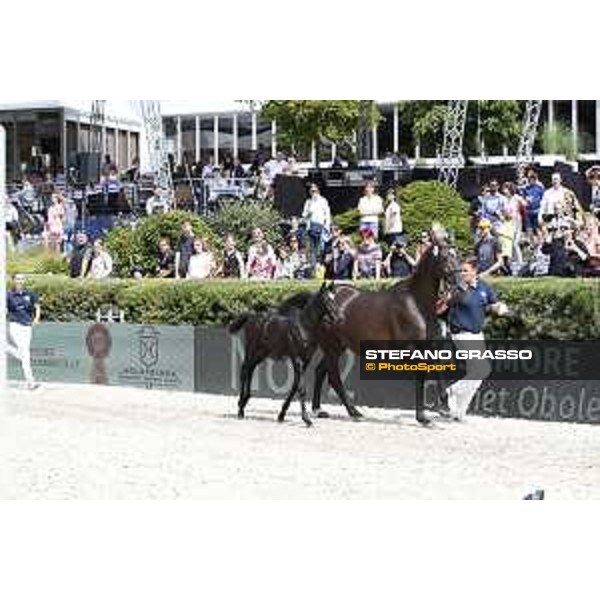 LGCT of Berlin - Foal presentation - Berlin, - 29 July 2017 - ph.Stefano Grasso/LGCT