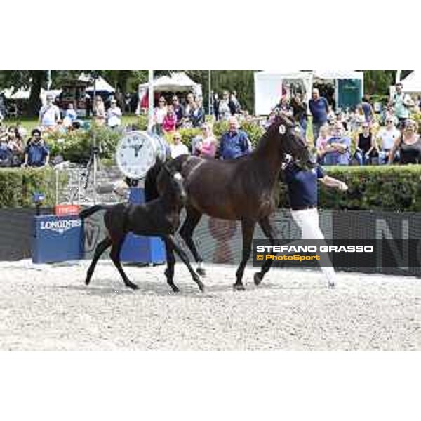 LGCT of Berlin - Foal presentation - Berlin, - 29 July 2017 - ph.Stefano Grasso/LGCT