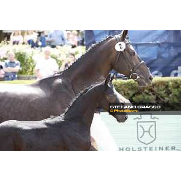 LGCT of Berlin - Foal presentation - Berlin, - 29 July 2017 - ph.Stefano Grasso/LGCT