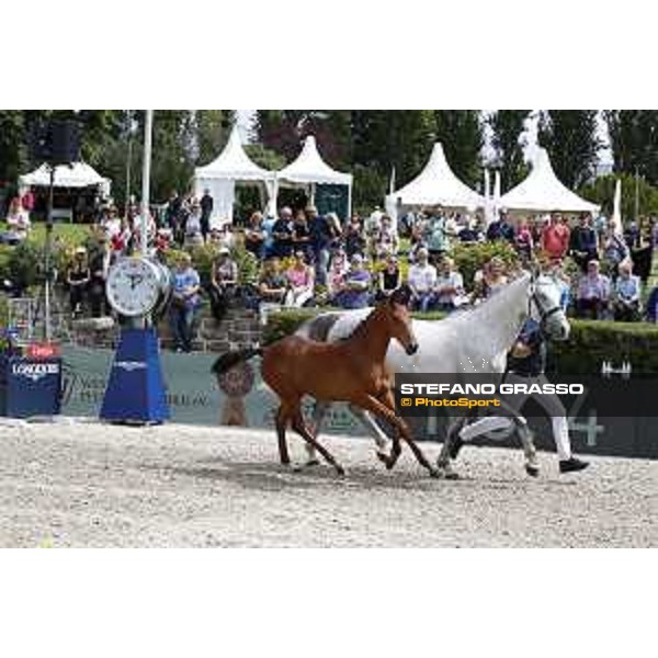LGCT of Berlin - Foal presentation - Berlin, - 29 July 2017 - ph.Stefano Grasso/LGCT