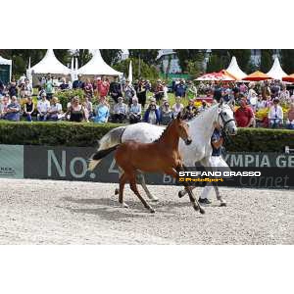 LGCT of Berlin - Foal presentation - Berlin, - 29 July 2017 - ph.Stefano Grasso/LGCT