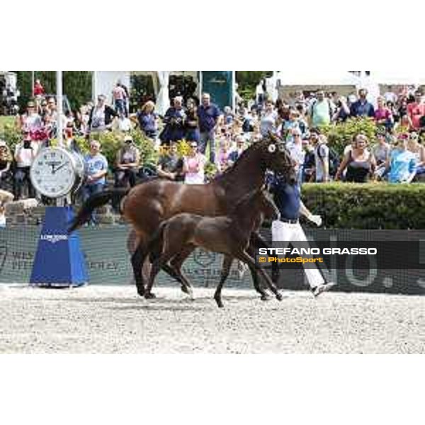 LGCT of Berlin - Foal presentation - Berlin, - 29 July 2017 - ph.Stefano Grasso/LGCT