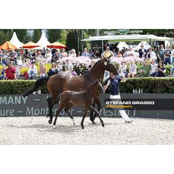 LGCT of Berlin - Foal presentation - Berlin, - 29 July 2017 - ph.Stefano Grasso/LGCT