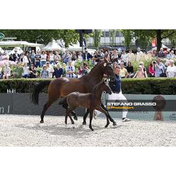 LGCT of Berlin - Foal presentation - Berlin, - 29 July 2017 - ph.Stefano Grasso/LGCT