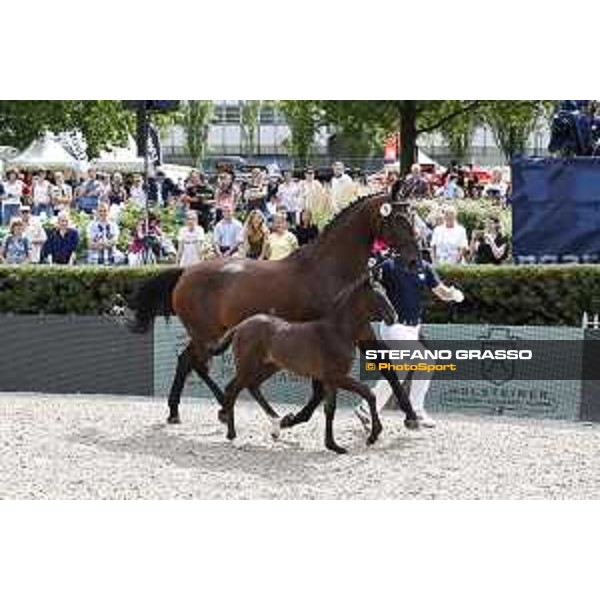 LGCT of Berlin - Foal presentation - Berlin, - 29 July 2017 - ph.Stefano Grasso/LGCT
