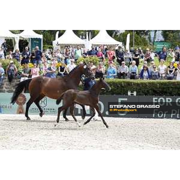LGCT of Berlin - Foal presentation - Berlin, - 29 July 2017 - ph.Stefano Grasso/LGCT